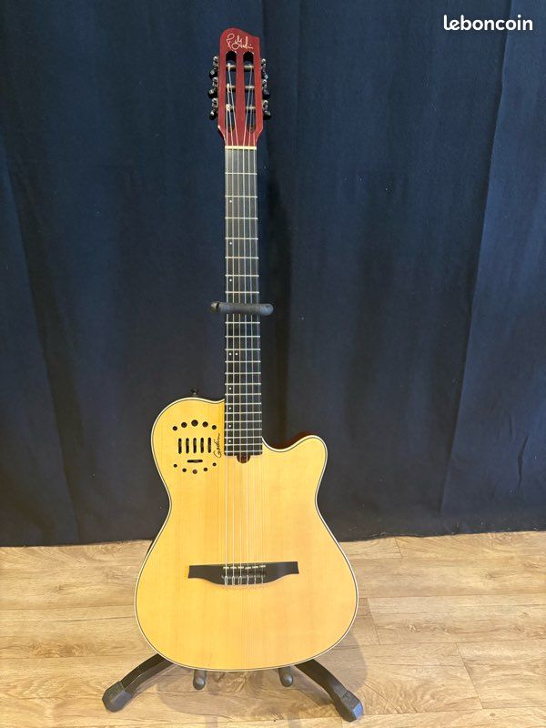 Guitare Godin Multiac Deluxe (image 1)