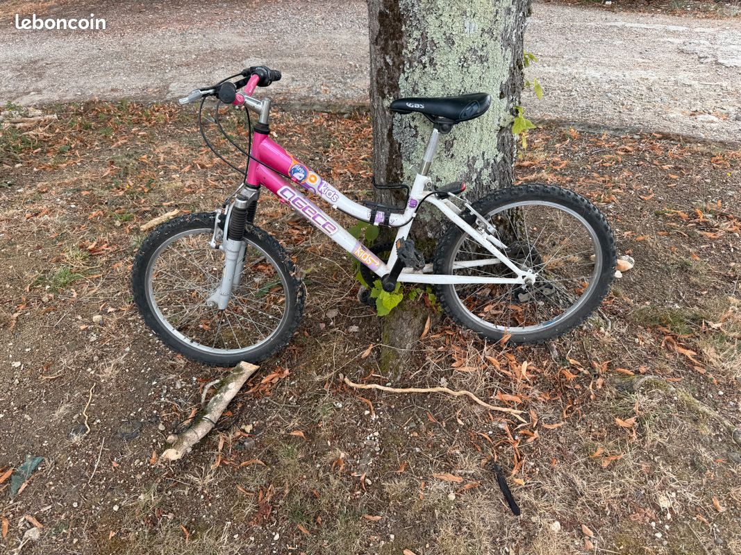 Vélo 20 pouces fille (image 1)