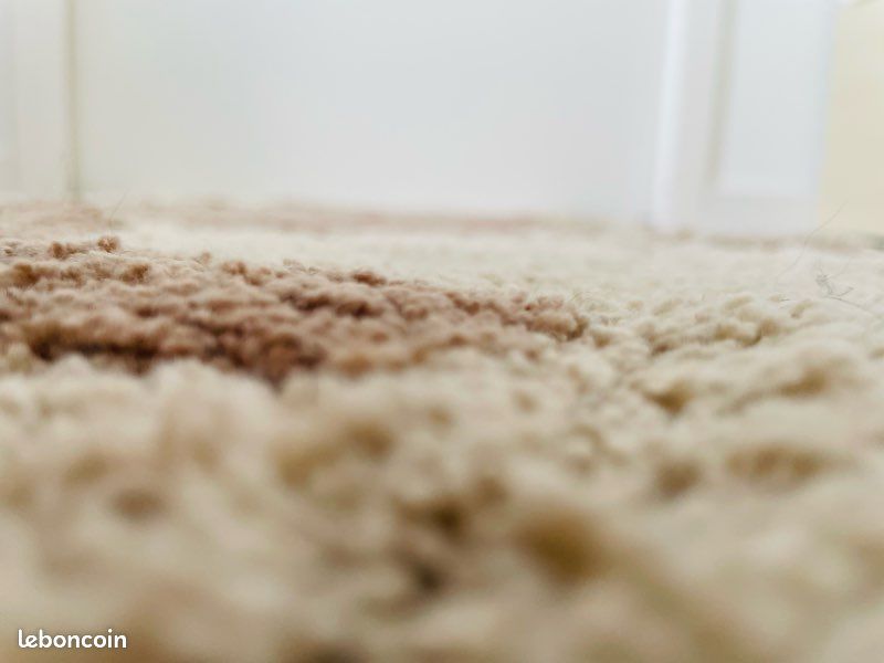 Tapis 100% coton (image 3)