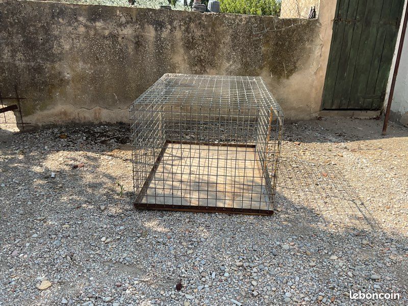 Cage artisanale pour chiens de chasse (image 2)