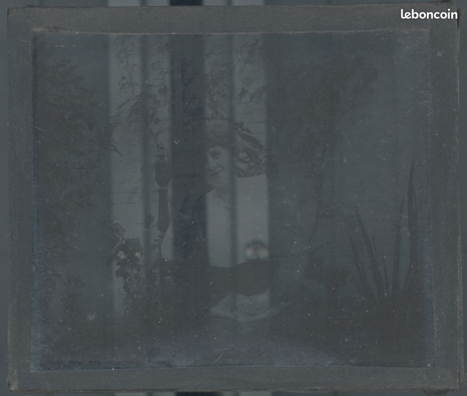 Ancienne Photo Sur Plaque De Verre – Lac De Pierre-Châtel (8,5x10 Cm), Tirage Original Positif