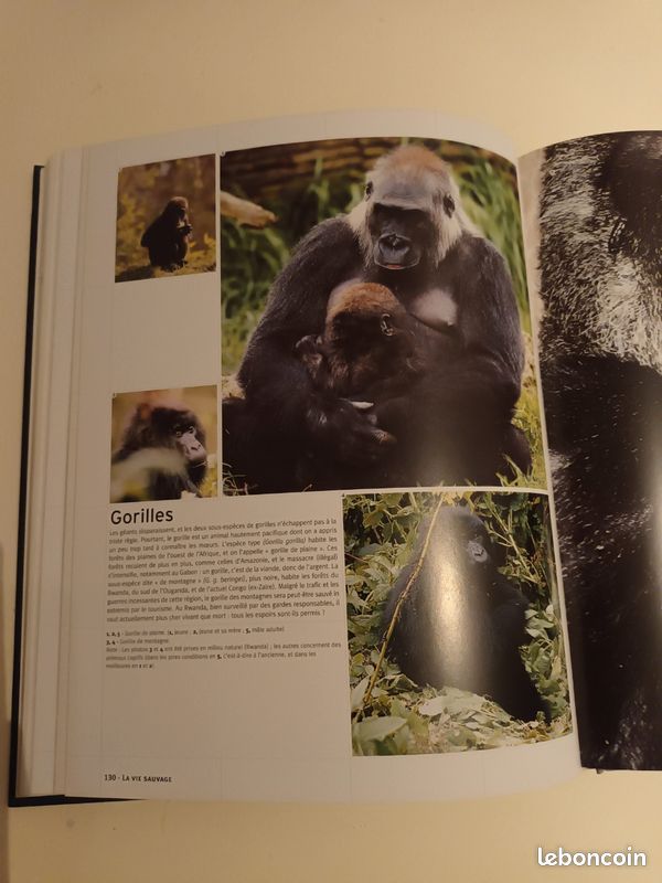 Livre : l essentiel de la vie sauvage (image 3)