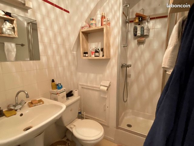 Duplex 2 pièces 24 m² - Limoges 87000 (image principale 3)