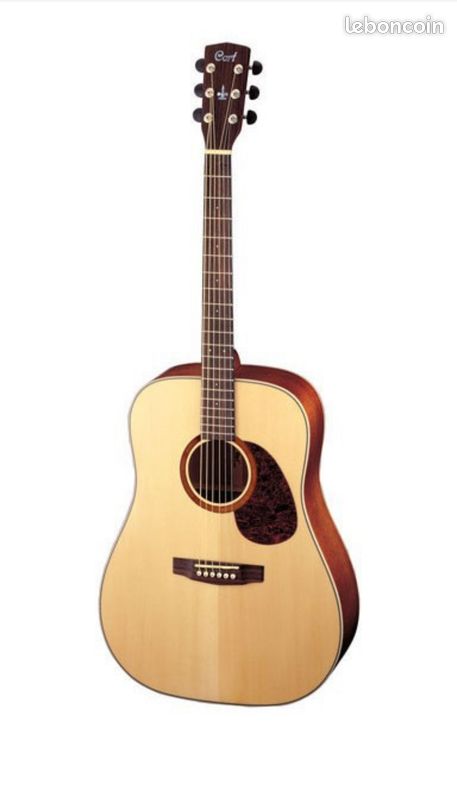 Guitare CORT EARTH 100 (image 1)