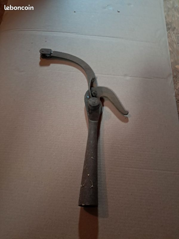 Coupe branche (image 2)