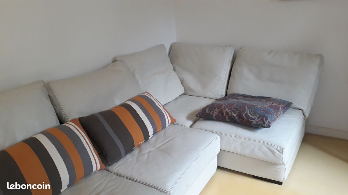 Canape cuir roche bobois (image 1)