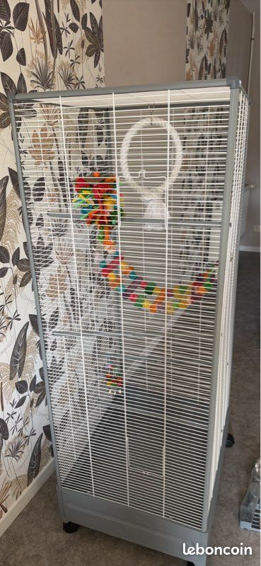 Cage à oiseaux (image 1)