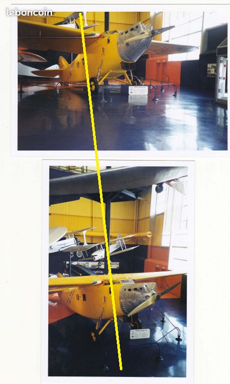 2 photos aviation oiseau canari (image 1)