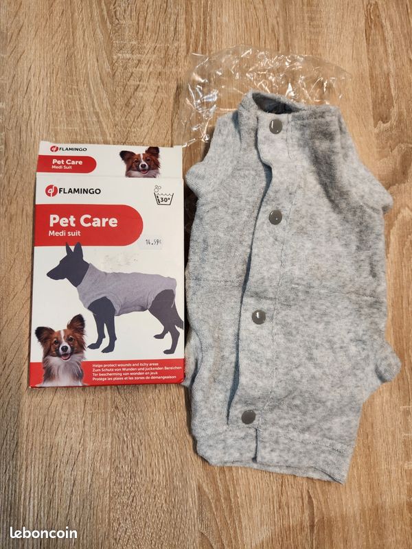 Body chien (image 1)
