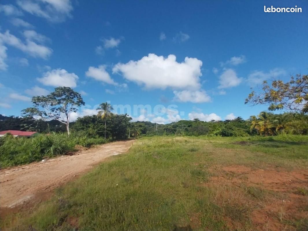 Terrain 655 m² Le Robert · 149 000 €