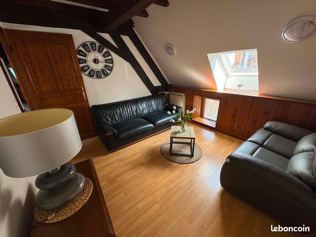 Appartement 2 pièces 46 m² · à Phalsbourg · 45,6 m² · 525 €/mois