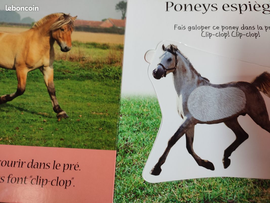 Livres puzzle (image 2)