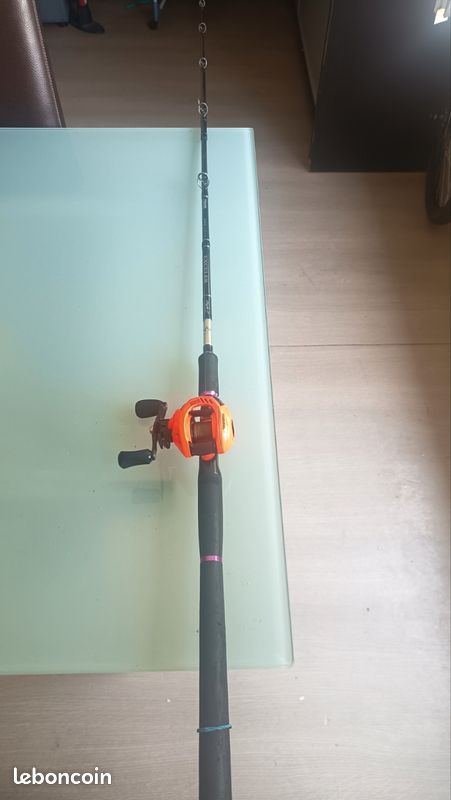 Canne casting Daiwa exceler (image 1)