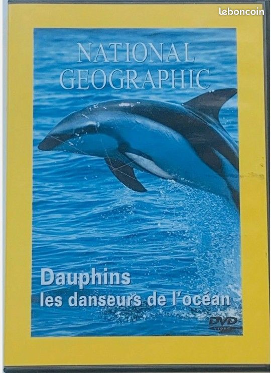 Dauphins les danseurs de l'océan (dvd) National Geographic (image 1)