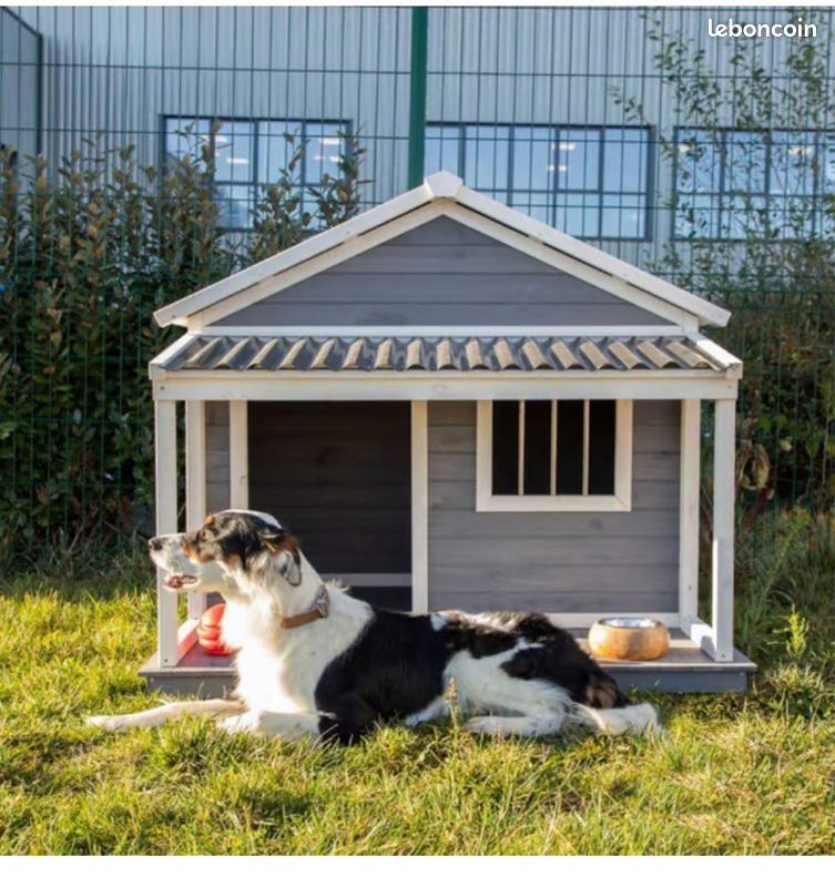 Niche chien moyen (image 1)
