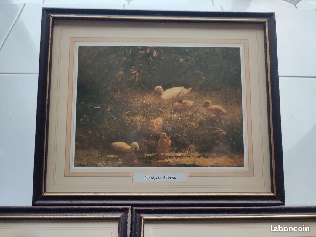 3 cadres représentants des scènes avec des canards (image 4)
