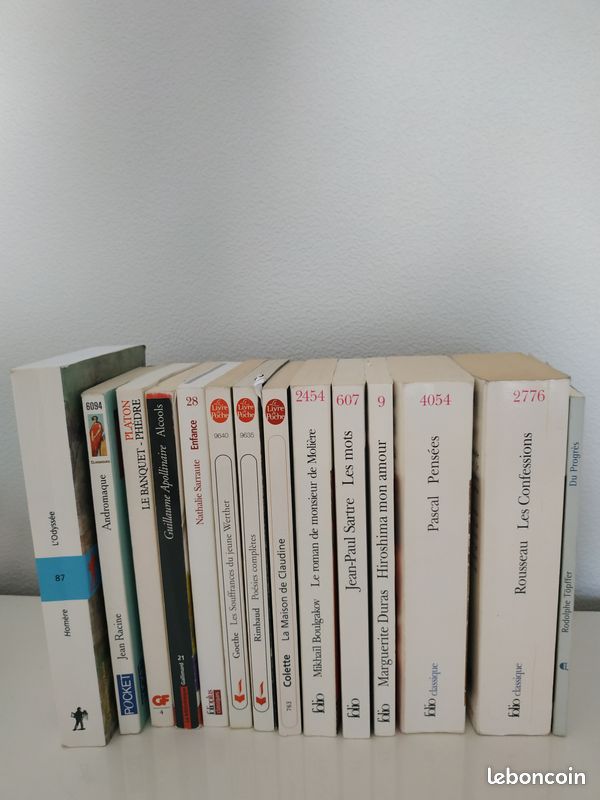 Les souffrances du jeune Werther, GOETHE (image 3)