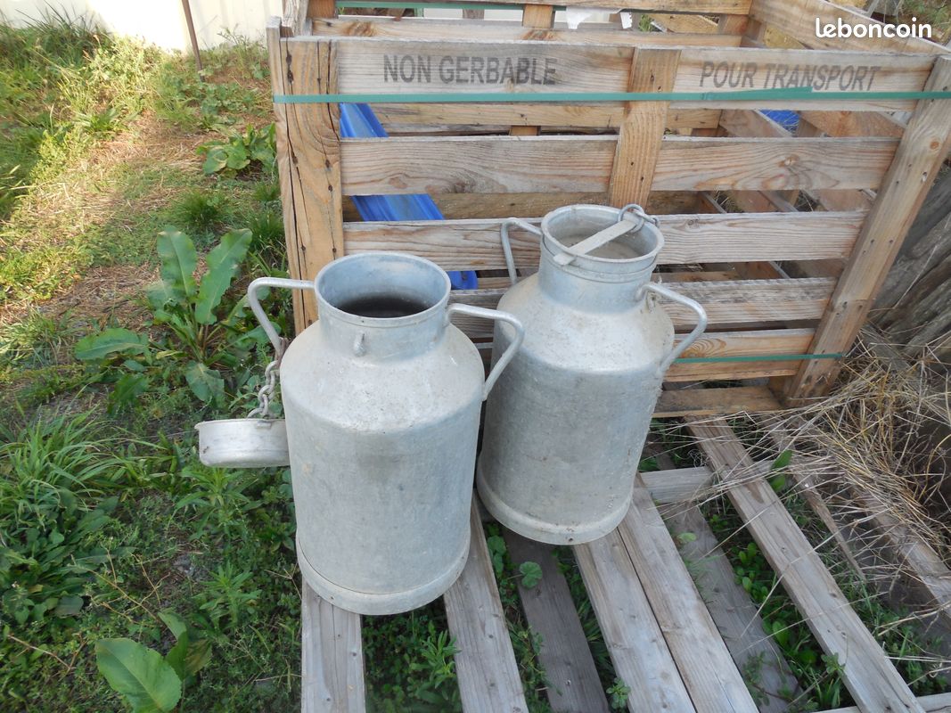 Bidons de lait 20l (image 1)
