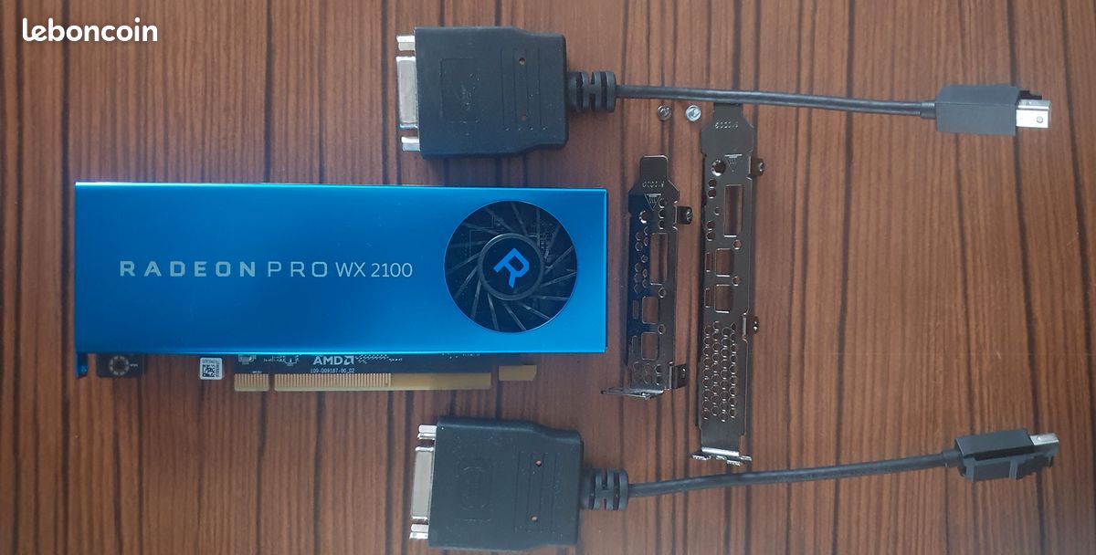 Carte graphique AMD Radeon Pro WX 2100 + Adaptateurs inclus (image 1)
