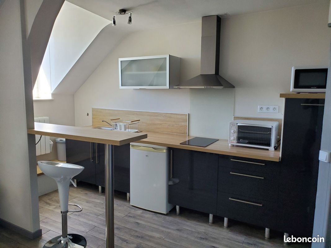 Studio 30 m², Plein centre Limoges - Limoges 87000 Bénédictins-Montplaisir (image principale 0)