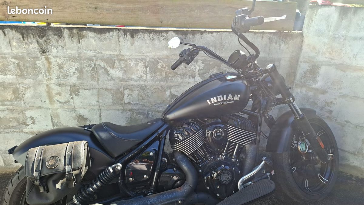 Indian chief dark horse (image 1)