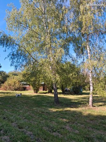 Terrain de loisir 3 500 m² avec cabane équipée – au calme – accès rapide A71 - Allier (03)