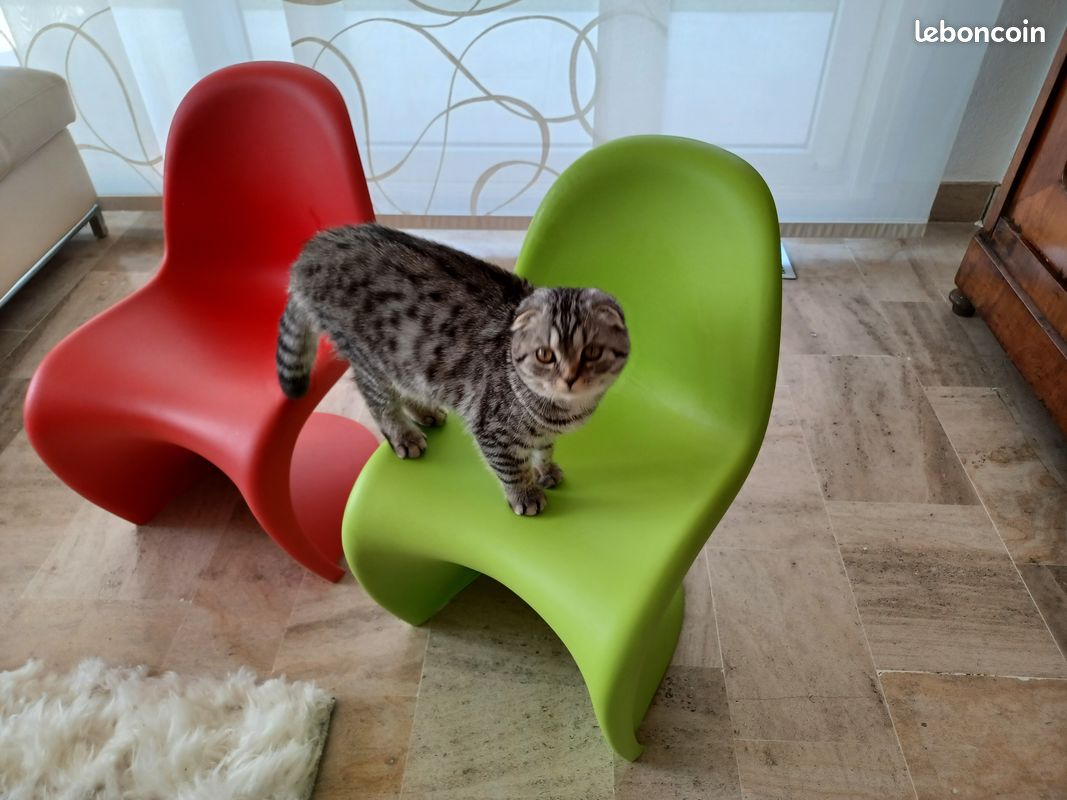 Vends 2 chaises Verner Panton Junior (Vitra) Coloris vert et rouge (image 4)
