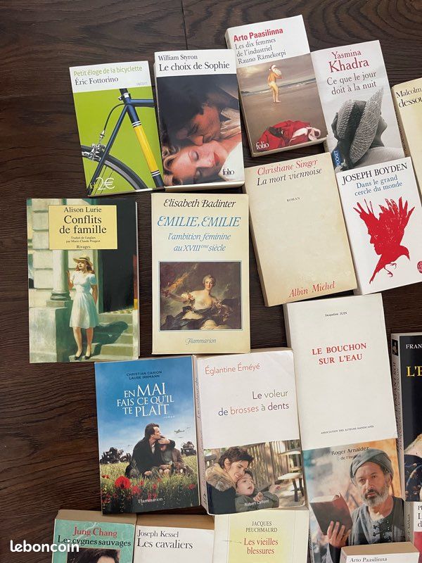 Lot de 60 livres de littérature format poche ou grand format tous auteurs lot ou unité (image 10)