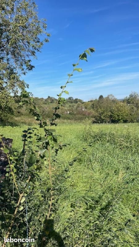 Terrain 446 m² Bouxieres Aux Chenes · à Bouxières-aux-Chênes · 75 000 €