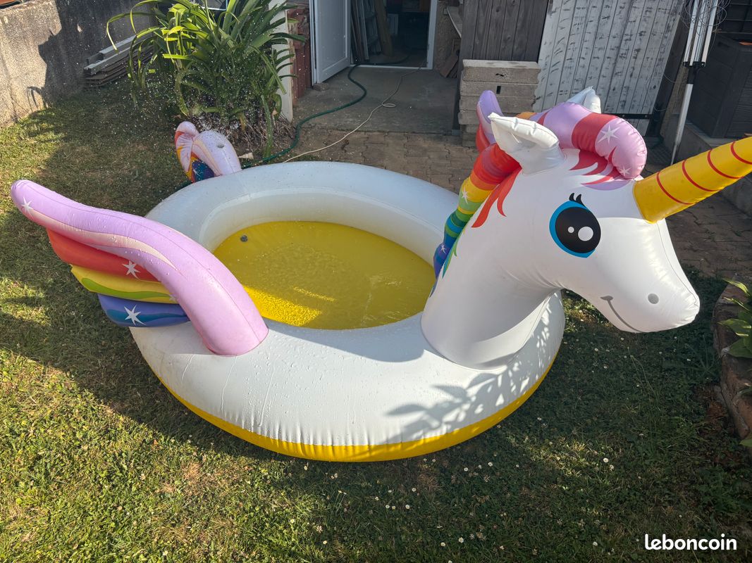Piscine gonflable (image 2)