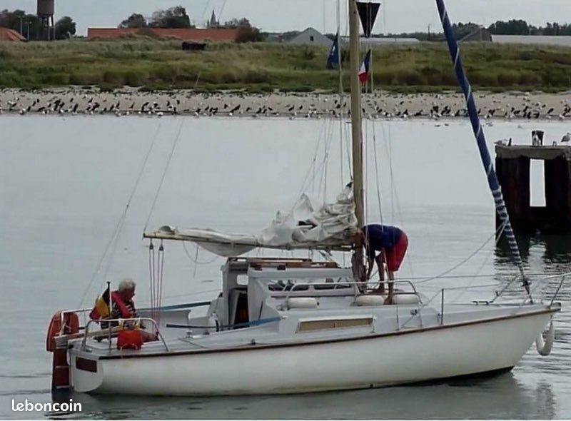 Edel 2 — Vedi foto 1
