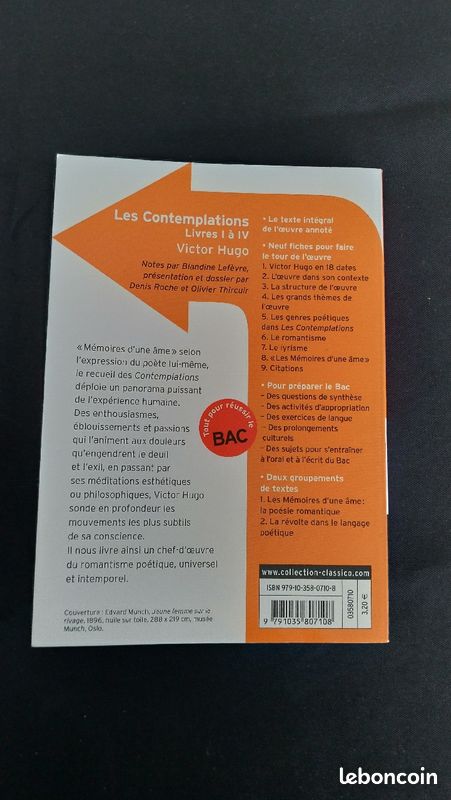 Les contemplations et Thérèse RAQUIN et l'équipage (image 3)
