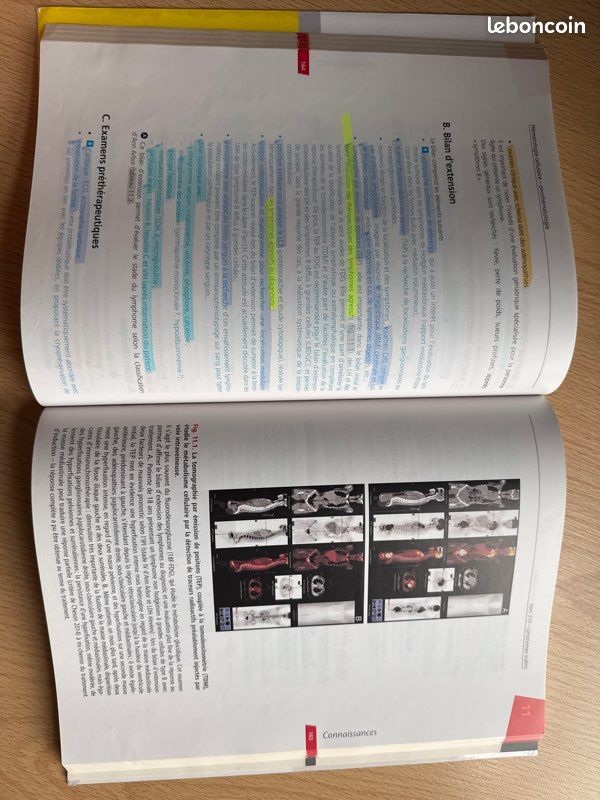 Hématologie (image 3)