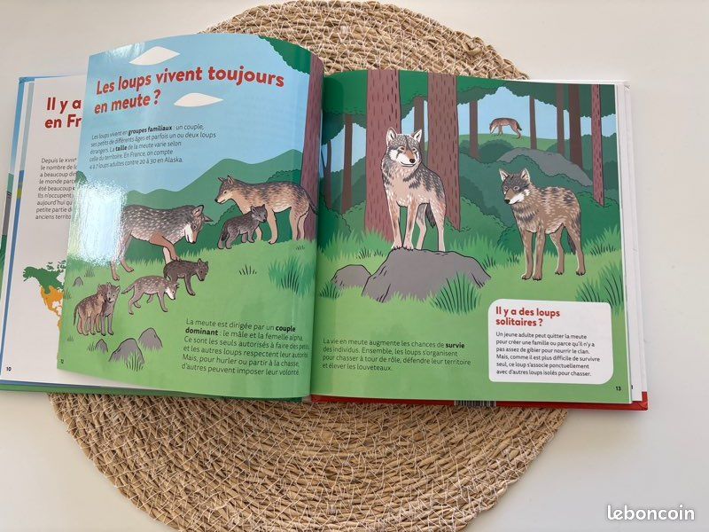 Livre 📕 mes p’tites questions, dès 7 ans, les loups, pages glacées, excellent état (image 11)