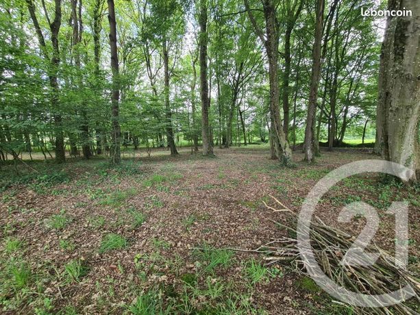 Terrain 27 800 m² Combourg