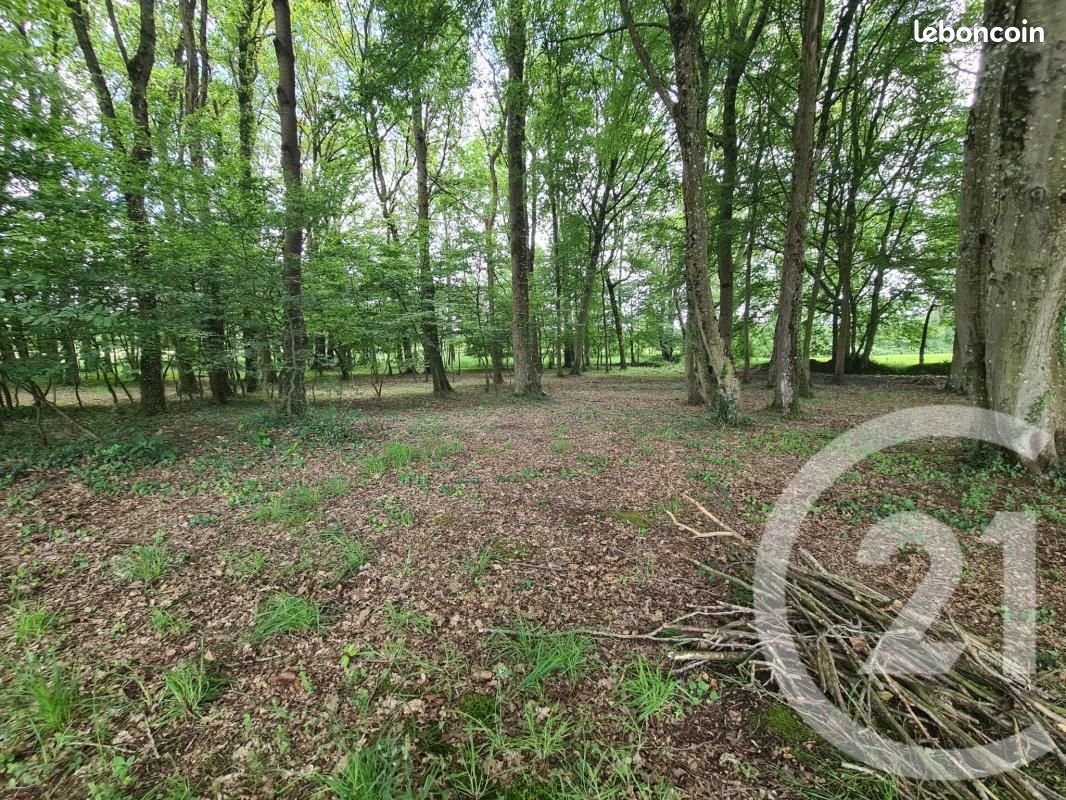 Terrain 27 800 m² Combourg · 39 000 €