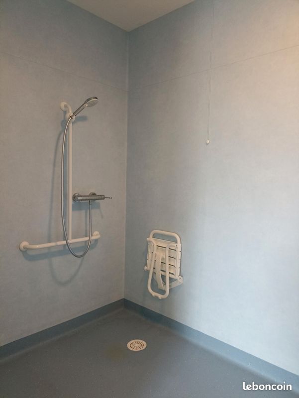 Appartements résidence Sénior - Scorbé-Clairvaux 86140 (image principale 3)