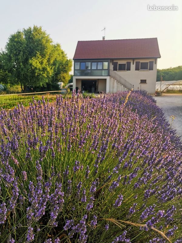 Maison 6 pièces 101 m² · à Ouroux-sur-Saône · 101 m² · 200 000 €