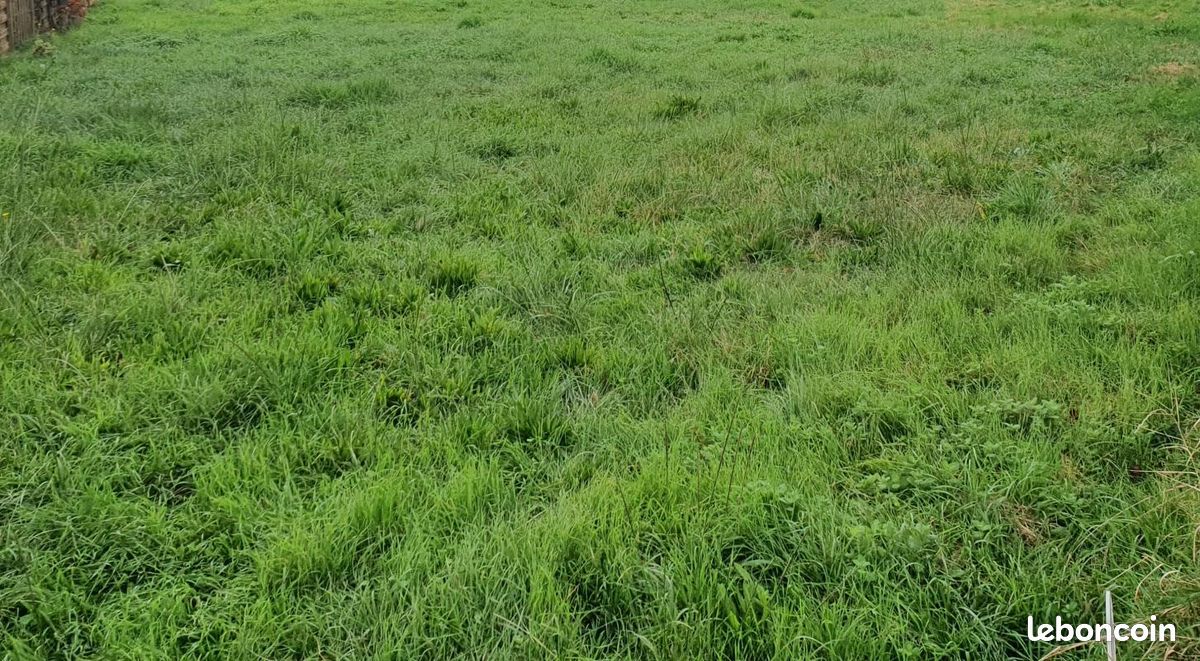 Terrain 400 m² Hourtin · 90 000 €