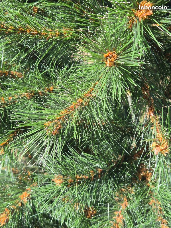 Sapin artificiel Carolina 1m80 (image 3)