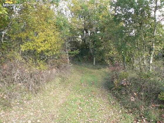 Forêt de chênes · à Beauville · 21 000 €