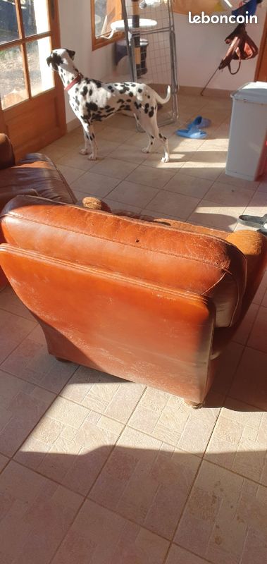 2 fauteuils cuir (image 2)