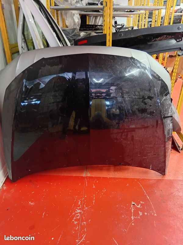Capot seat leon (image 1)