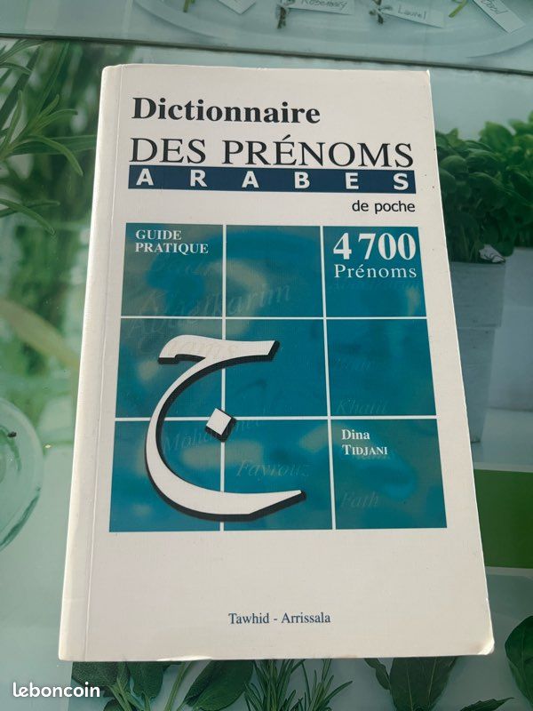Dictionnaire des prénoms arabes (image 2)