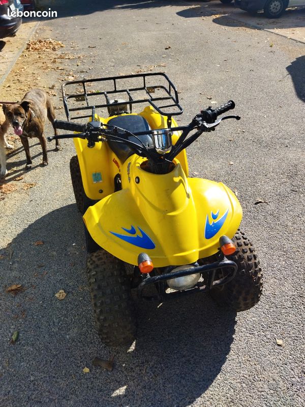 Quad lifan 50 cm3 homologué (image 1)
