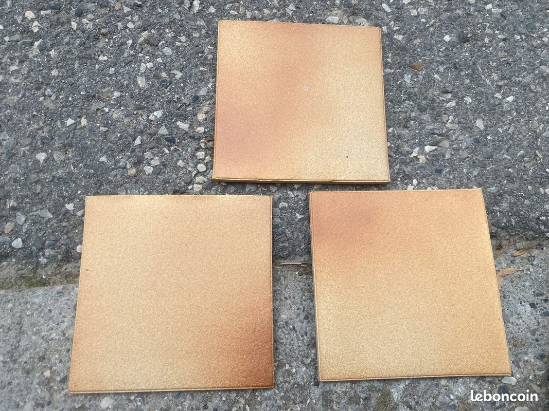 Carreaux grès de saintonge (image 1)