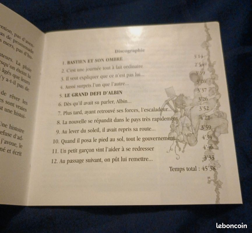 Livre audio Le grand défi d'Albin et Sébastien et son ombre (svv) (image 4)