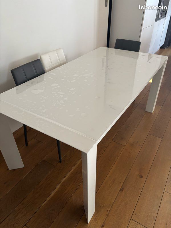 Table de 6 à 10 personnes en acier (image 2)