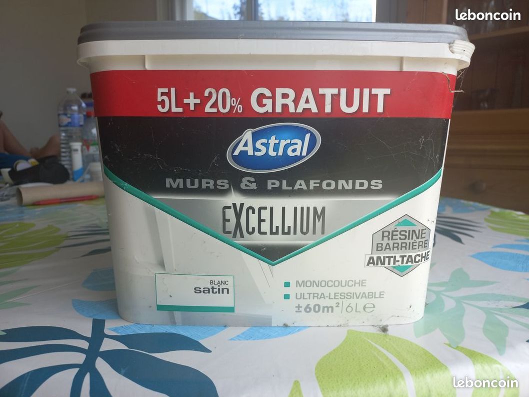 Peinture Pro Astral Excellium Satin 6l (image 1)