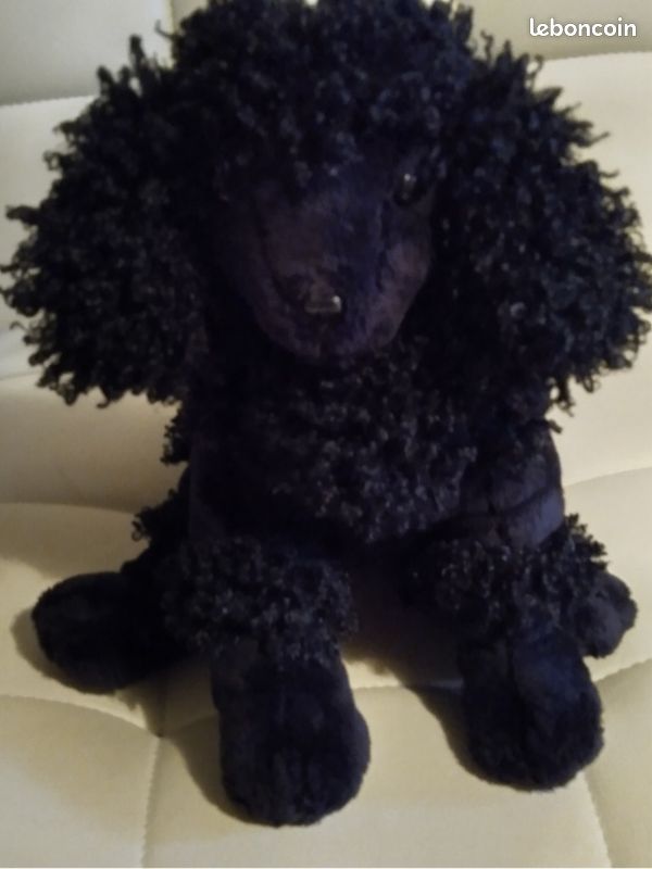 Peluche - Gigi le caniche noir - Le Papetier